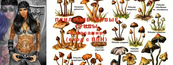 мяу мяу кристалл Алзамай